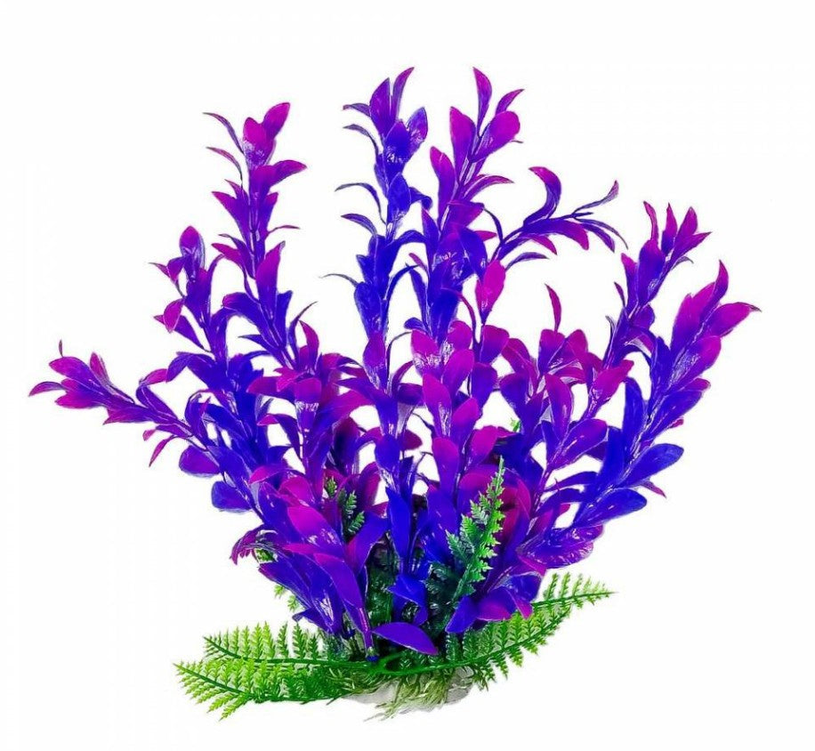 Aquatop Hygro Aquarium Plant Pink and Purple Aquariums For Beginners