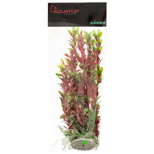 Aquatop Hygro Aquarium Plant Red and Green Aquariums For Beginners