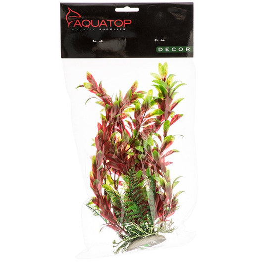 Aquatop Hygro Aquarium Plant Red and Green Aquariums For Beginners