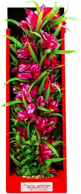 Aquatop Vibrant Passion Aquarium Plant Rose Aquariums For Beginners