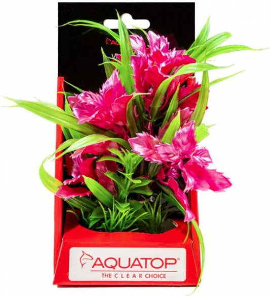 Aquatop Vibrant Passion Aquarium Plant Rose Aquariums For Beginners