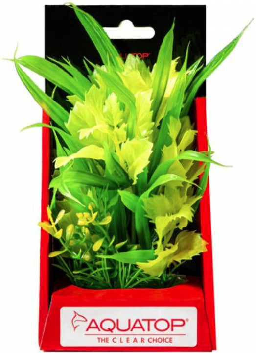 Aquatop Vibrant Passion Aquarium Plant Yellow Aquariums For Beginners