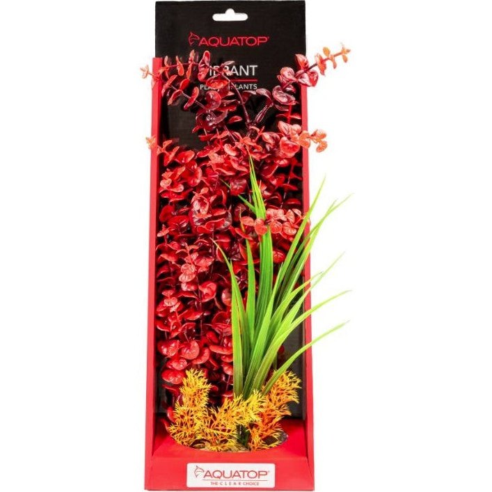 Aquatop Vibrant Wild Aquarium Plant Red Aquariums For Beginners