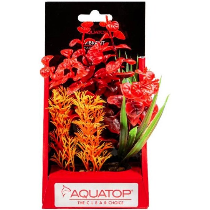 Aquatop Vibrant Wild Aquarium Plant Red Aquariums For Beginners