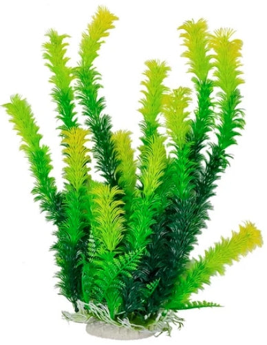 Aquatop Yellow Tipped Aquarium Plant Green Aquariums For Beginners