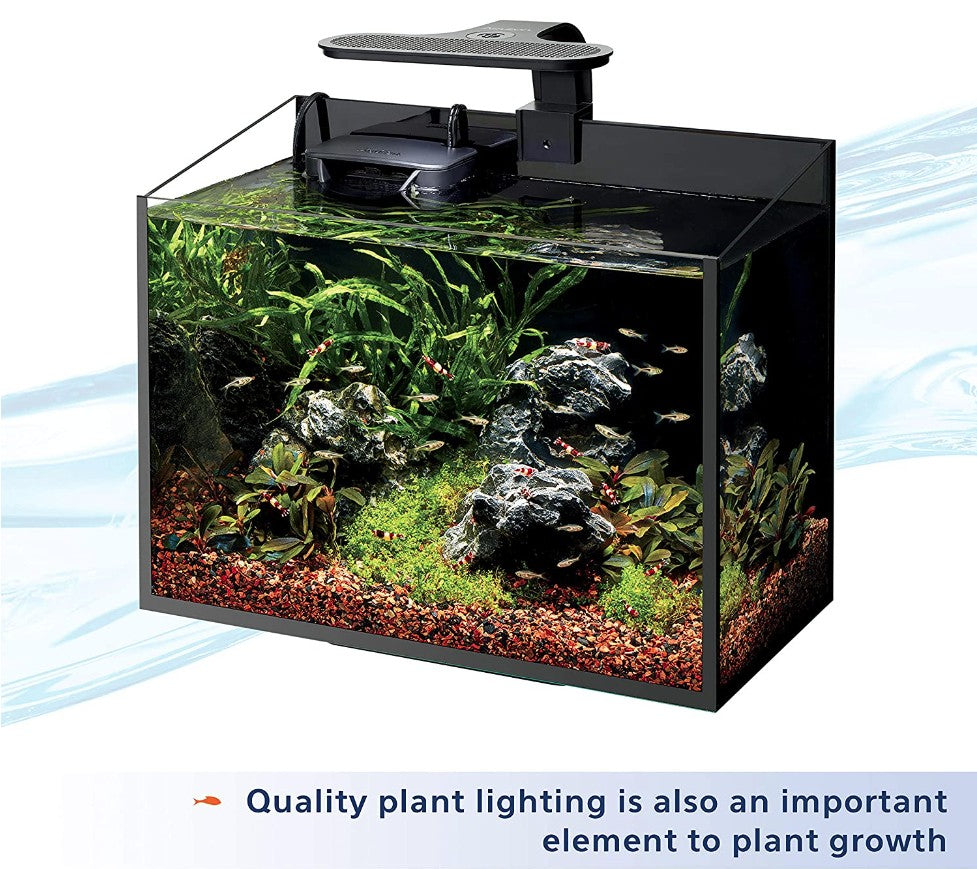 Aqueon Aquarium Plant Food Provides Macro and Micro Nutrients for Freshwater Plants Aquariums For Beginners