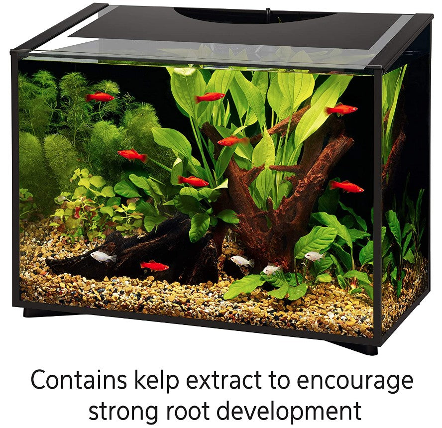 Aqueon Aquarium Plant Food Provides Macro and Micro Nutrients for Freshwater Plants Aquariums For Beginners