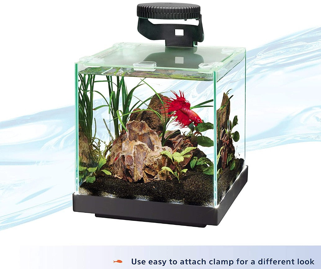 Aqueon Betta LED Light for Aquariums up to 3 Gallons Aquariums For Beginners