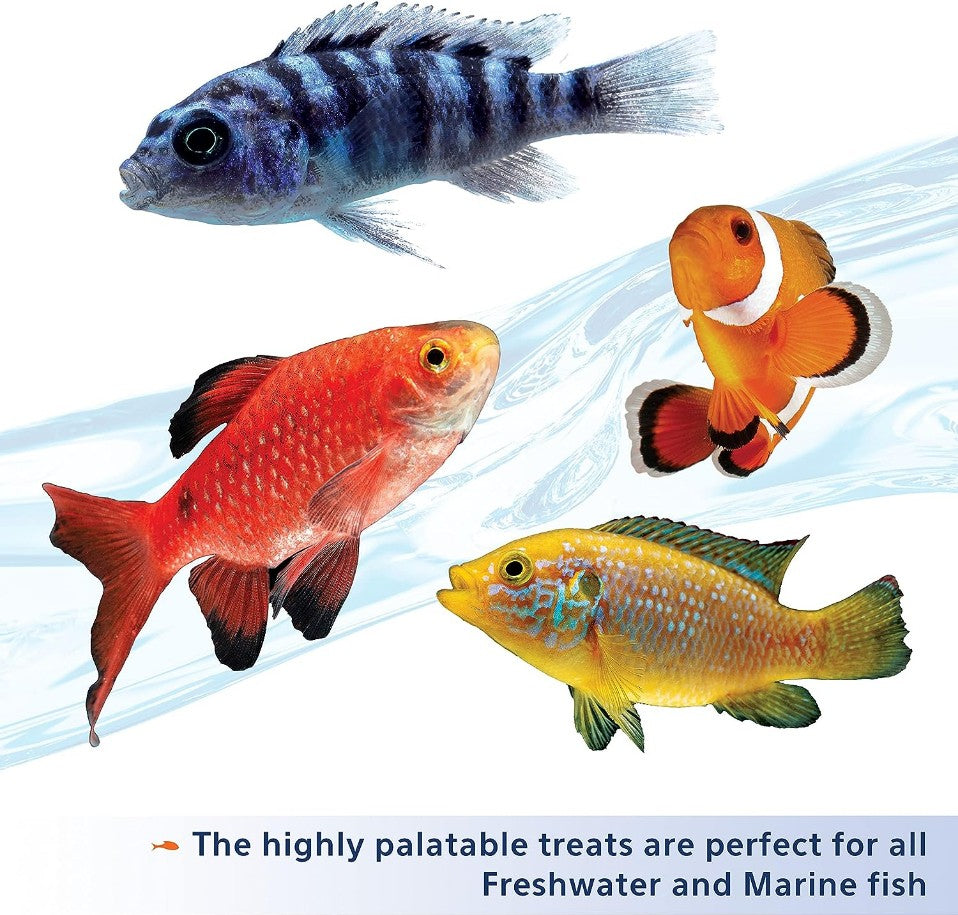 Aqueon Stick'ems Freeze Dried Picky Eater Treat for Fish Aquariums For Beginners