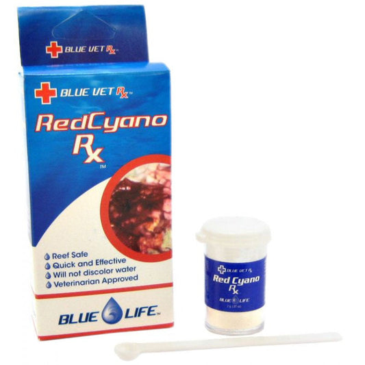 Blue Life Red Slime Control Rx Aquariums For Beginners