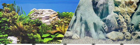 Blue Ribbon Tree Trunks / Freshwater White Rocks Double Sided Aquarium Background Aquariums For Beginners