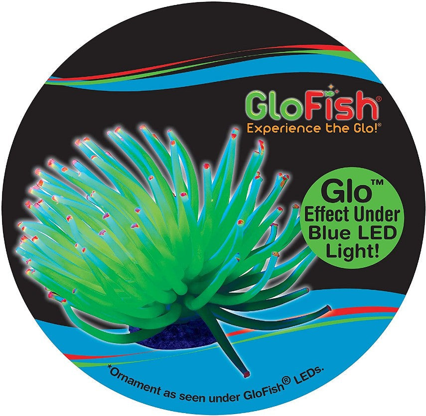 GloFish Anemone Aquarium Ornament Yellow Aquariums For Beginners