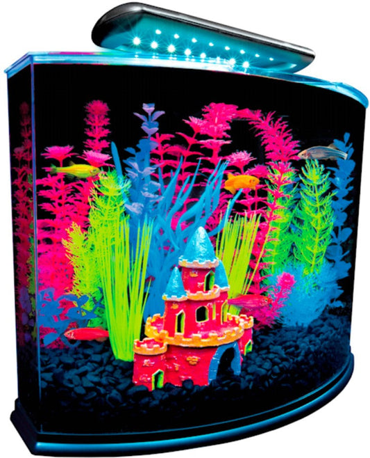 GloFish Aquarium Kit with LED Light 5 Gallons Aquariums For Beginners