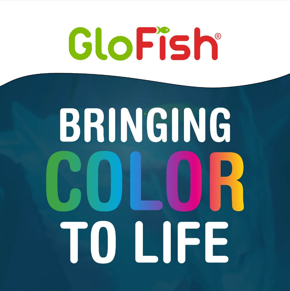 GloFish Cory Wafers Fish Food for GloFish Sharks and Cory Catfish Aquariums For Beginners