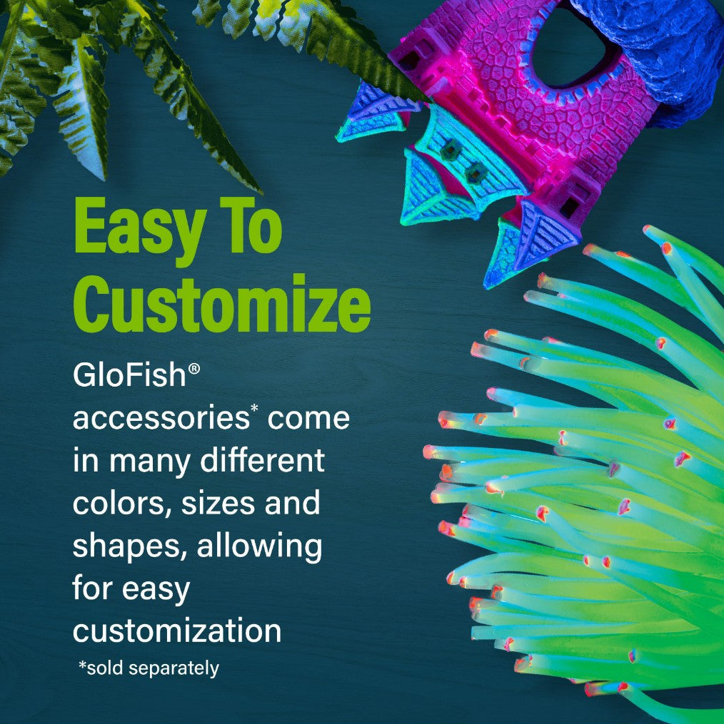 GloFish Trilogy Beta Aquarium Kit with Hood and LED Light Aquariums For Beginners