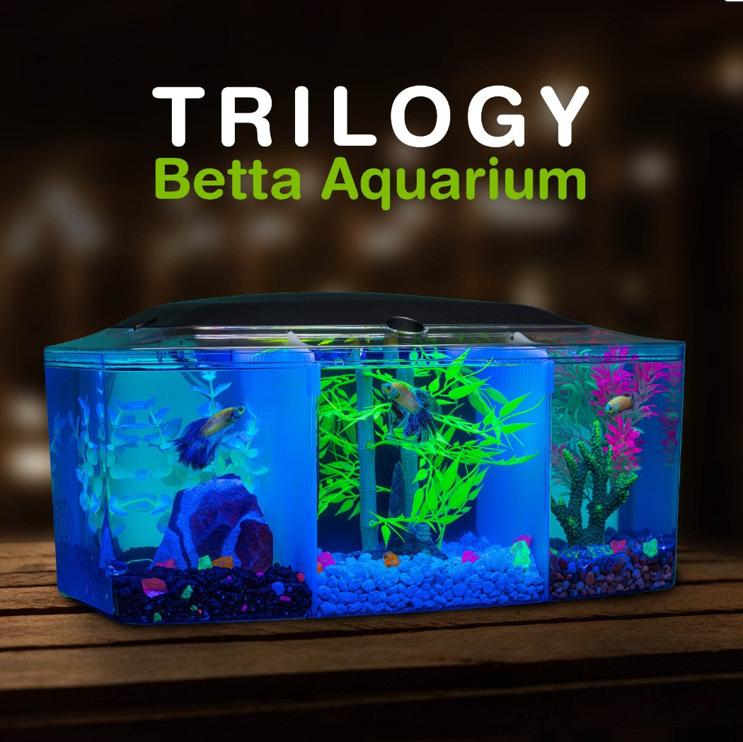 GloFish Trilogy Beta Aquarium Kit with Hood and LED Light Aquariums For Beginners