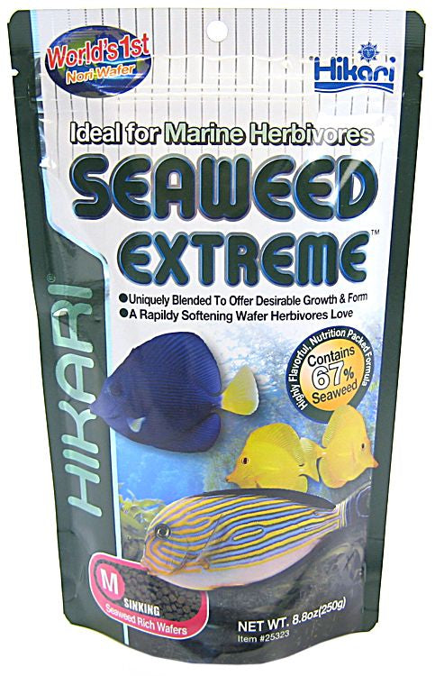 Hikari Seaweed Extreme Sinking Medium Wafer Food Aquariums For Beginners