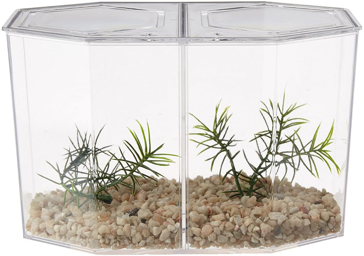 Lees Betta Keeper Hex Dual Aquarium Aquariums For Beginners