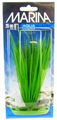 Marina Hairgrass Aquarium Plants Aquariums For Beginners