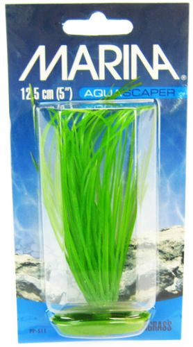 Marina Hairgrass Aquarium Plants Aquariums For Beginners