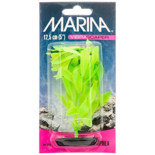 Marina Vibrascaper Hygrophilia Plant Green DayGlo Aquariums For Beginners