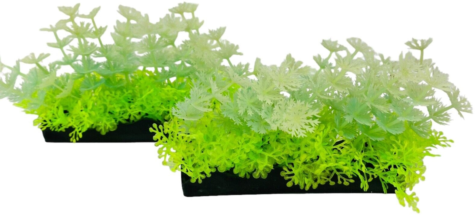 Penn Plax Aqua-Scaping Green Glow Bunch Plant Aquariums For Beginners