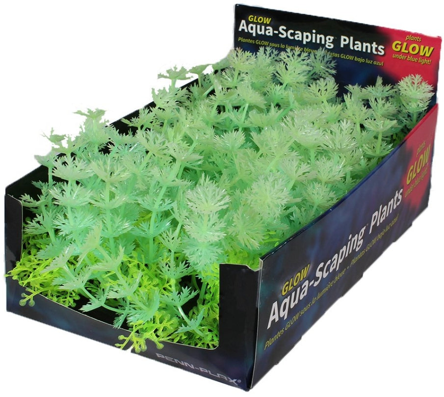 Penn Plax Aqua-Scaping Green Glow Bunch Plant Aquariums For Beginners