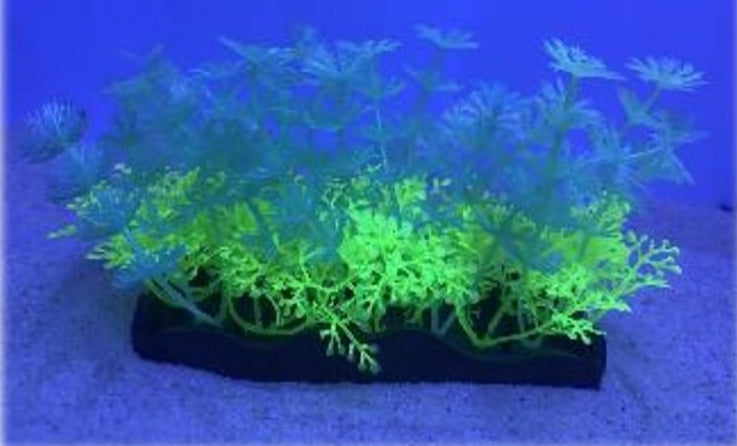 Penn Plax Aqua-Scaping Green Glow Bunch Plant Aquariums For Beginners