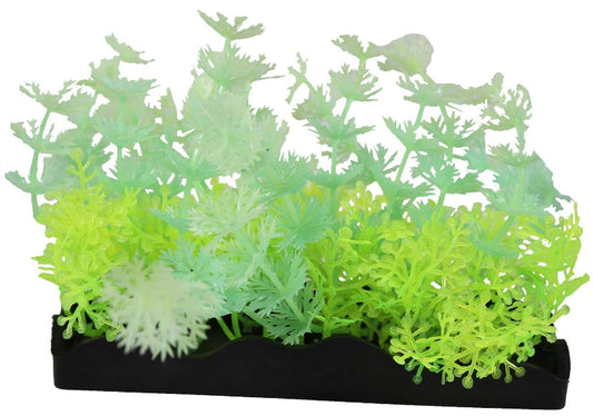 Penn Plax Aqua-Scaping Green Glow Bunch Plant Aquariums For Beginners