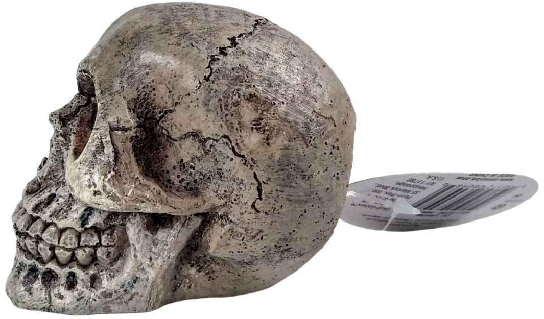 Penn Plax Deco-Replicas Skull Gazer Ornament Assorted Styles Aquariums For Beginners