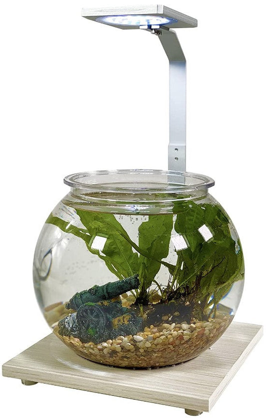 Penn Plax Eco-Sphere Bowl with Plant-Grow LED Light Aquariums For Beginners