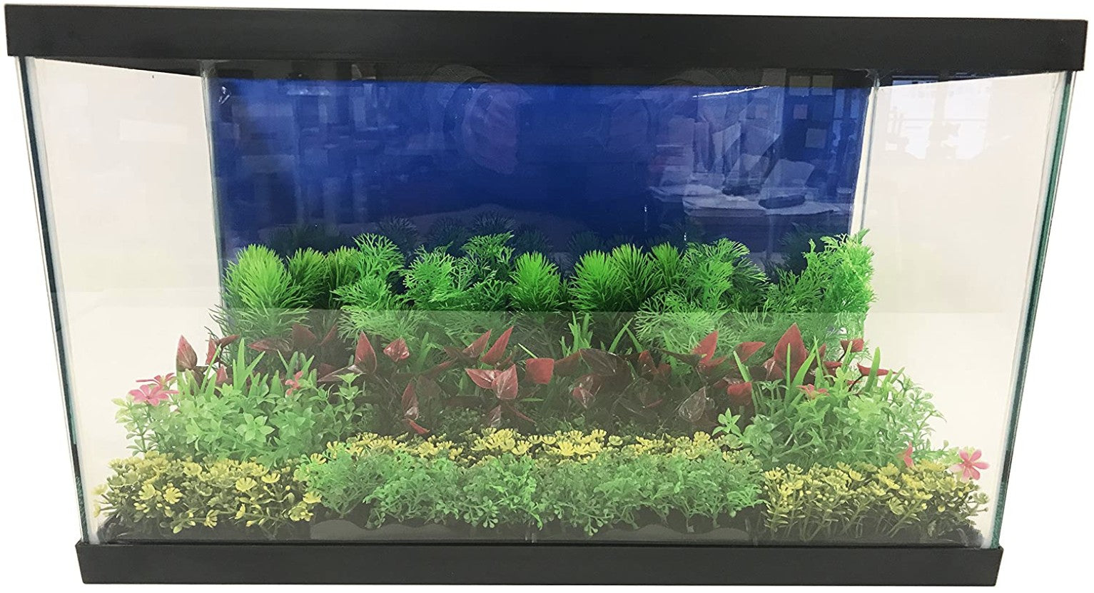 Penn Plax Green Bunch Plants Small Aquariums For Beginners