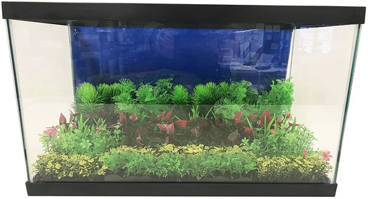 Penn Plax Green Bunch Plants Small Aquariums For Beginners