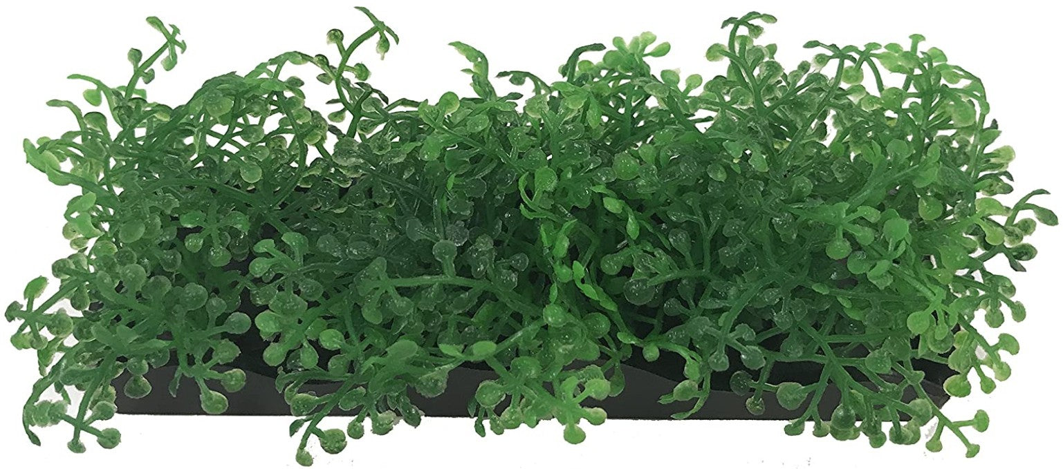 Penn Plax Green Bunch Plants Small Aquariums For Beginners