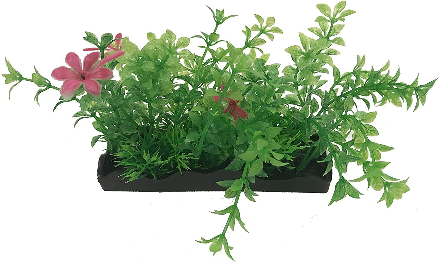 Penn Plax Green and Pink Bunch Plants Medium Aquariums For Beginners