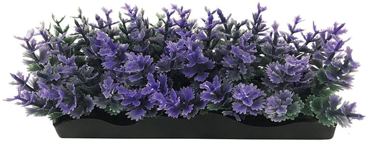 Penn Plax Purple Bunch Plants Small Aquariums For Beginners