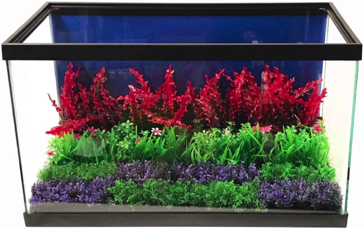 Penn Plax Purple Bunch Plants Small Aquariums For Beginners