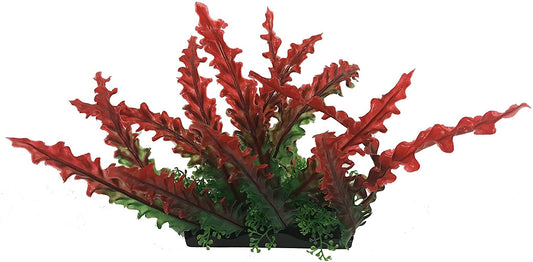 Penn Plax Red Bunch Plant Large Aquariums For Beginners