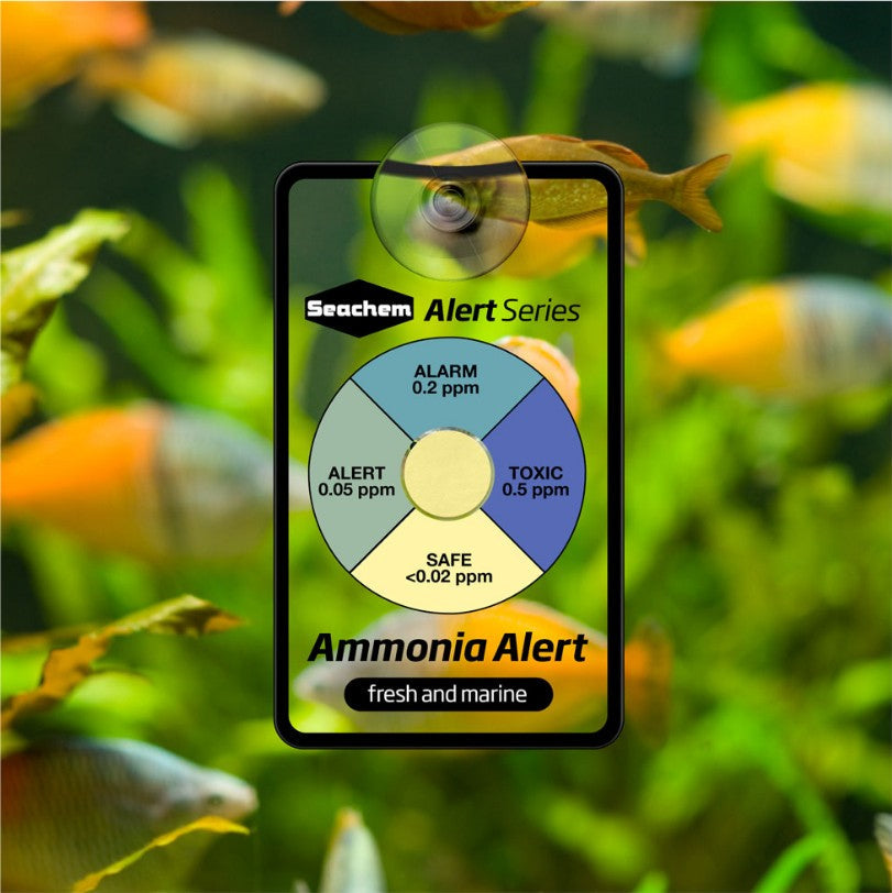 Seachem Ammonia Alert Sensor for Fresh and Saltwater Aquariums Aquariums For Beginners