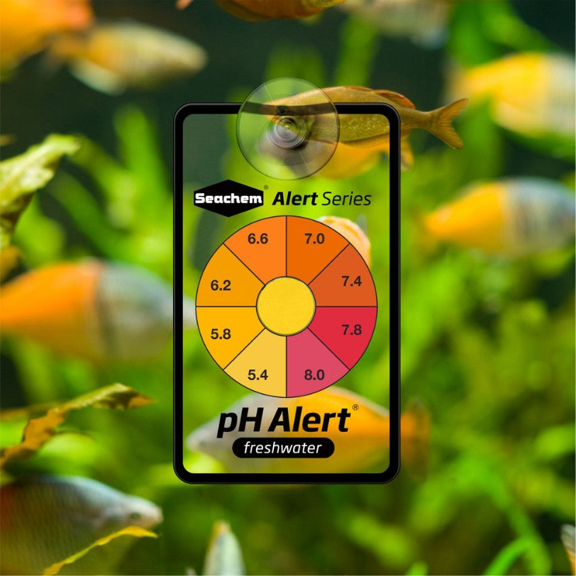 Seachem pH Alert Sensor for Freshwater Aquariums For Beginners