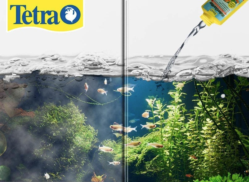 Tetra Water Clarifier Clears Cloudy Aquarium Water Aquariums For Beginners