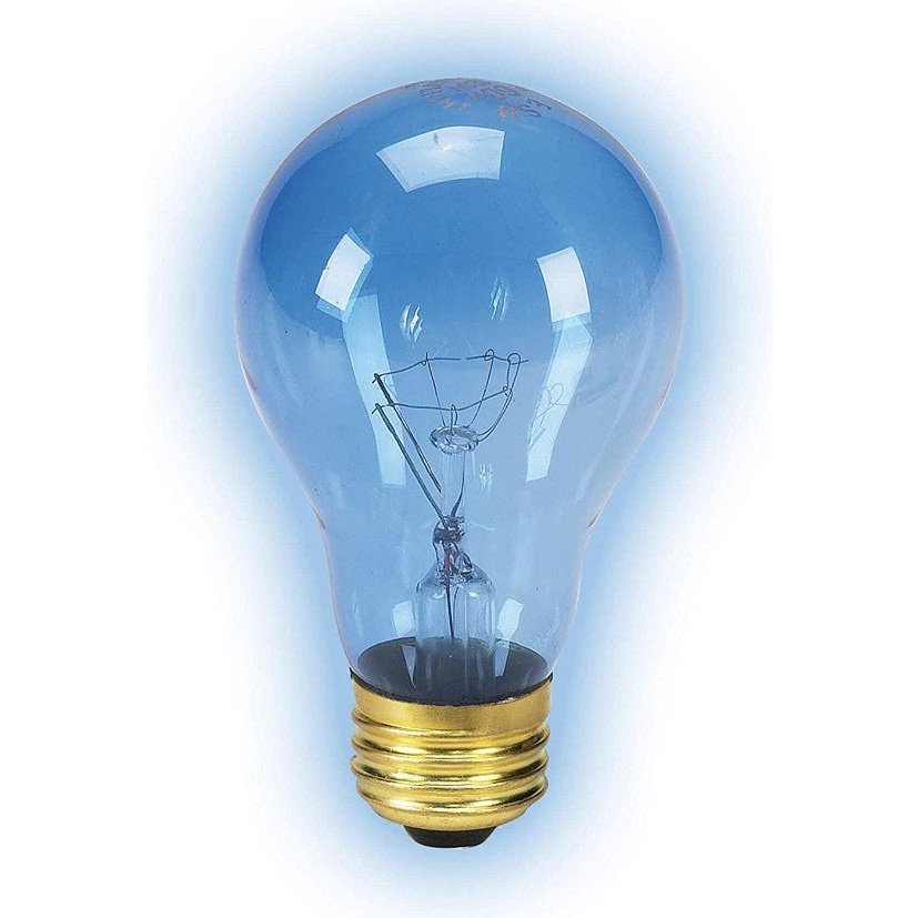 Zilla Incandescent Day Blue Light Bulb Aquariums For Beginners