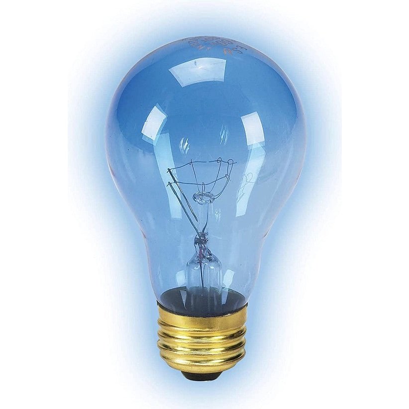 Zilla Incandescent Day Blue Light Bulb Aquariums For Beginners