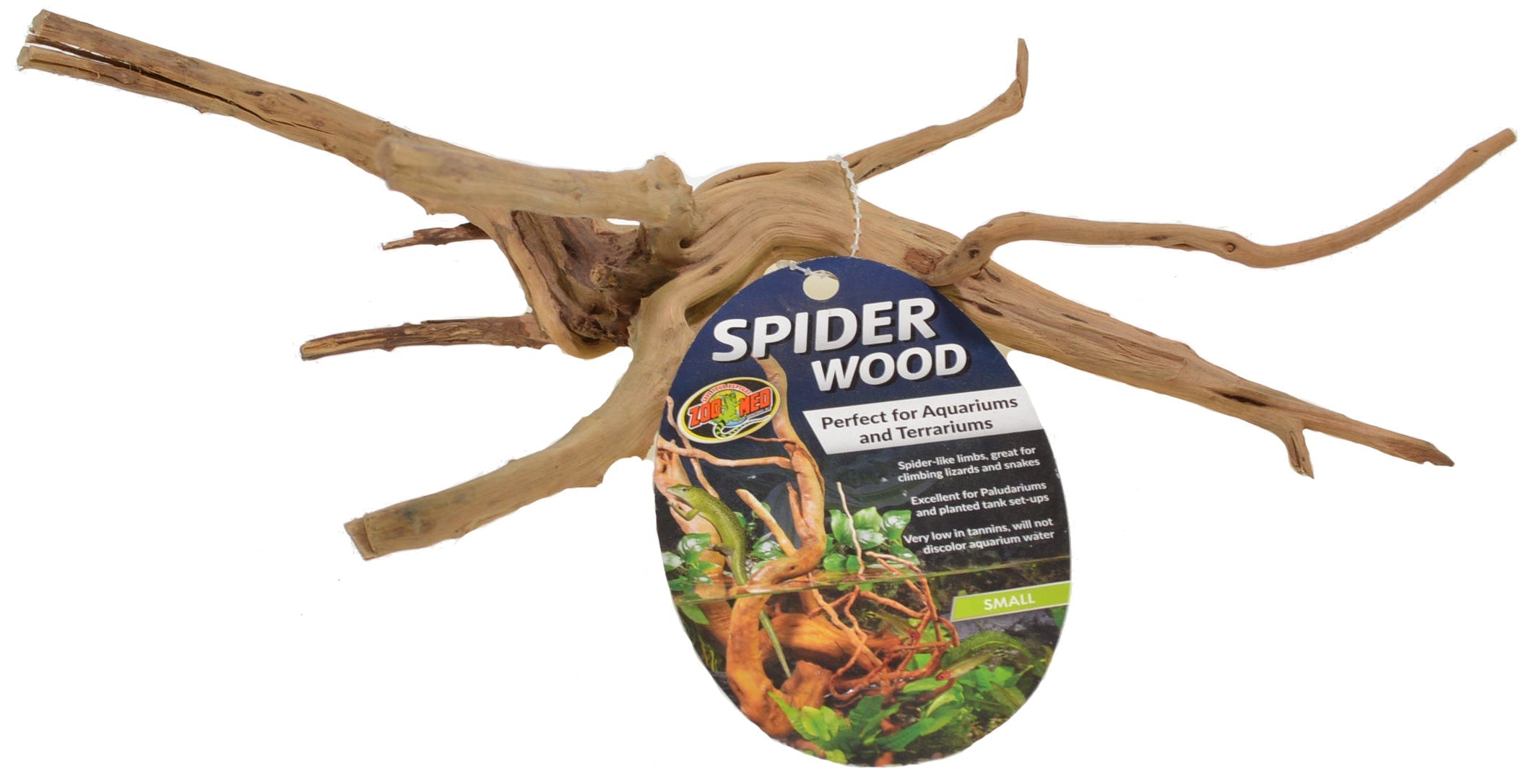 Zoo Med Spider Wood for Aquariums and Terrariums Aquariums For Beginners